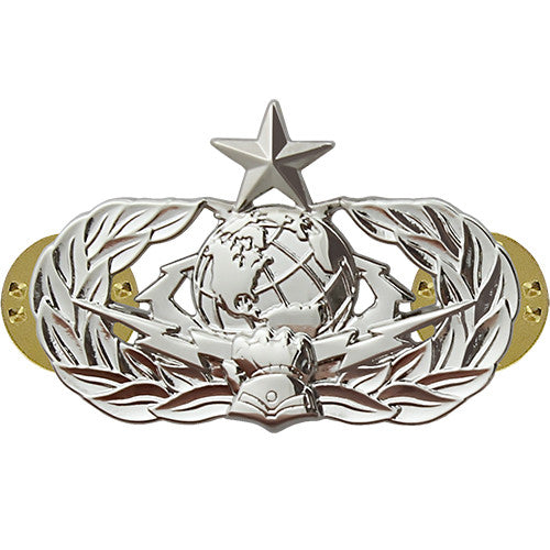 Air Force Badge: Force Protection: Senior - Regulation Size