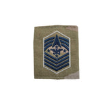 Space Force OCP Gortex Rank - Enlisted Rank 86113