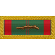 Republic of Vietnam Civil Action 1C Palm Unit Citation - Army Frame Ribbons 