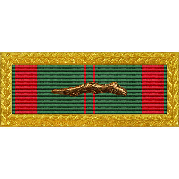 Republic of Vietnam Civil Action 1C Palm Unit Citation - Army Frame Ribbons 