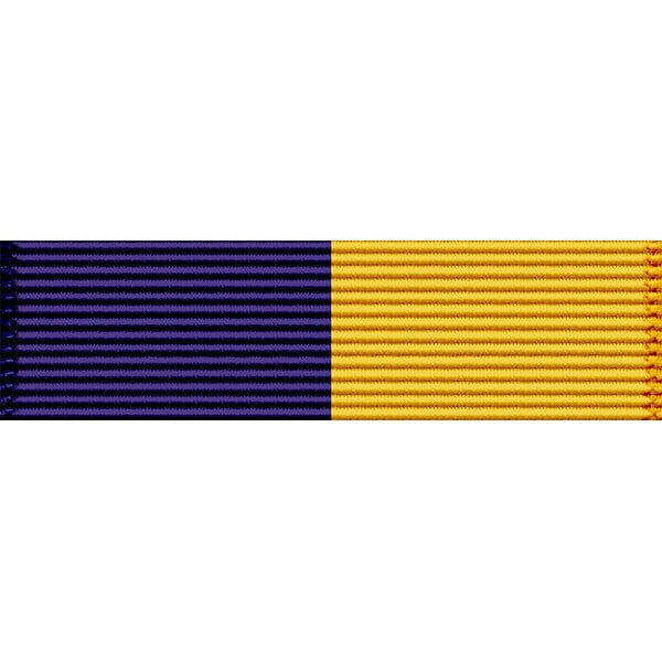 Navy Distinguished Public Service Award Medal Thin Ribbon Ribbons 