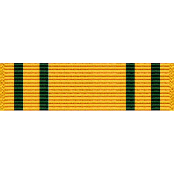 Washington National Guard Emergency Service Ribbon Ribbons 