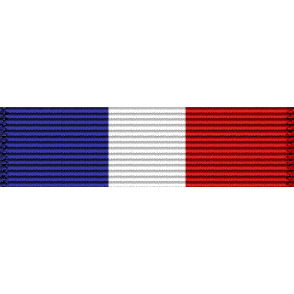 Connecticut National Guard Selected Reserve Force Medal Ribbon Ribbons 