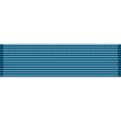 Virgin Islands National Guard Long and Faithful Service Ribbon Ribbons 