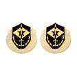 49th Finance Battalion Unit Crest (A Texas Tradition) Army Unit Crests 