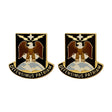 49th Missile Defense Battalion Unit Crest (Defensimus Patriam) Army Unit Crests 