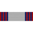 Virginia National Guard Strength Maintenance Ribbon Ribbons 