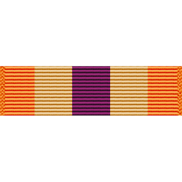 Wisconsin National Guard Emergency Service Ribbon Ribbons 