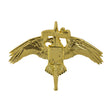 Marine Corps Special Operations Command MARSOC Badge Badges 