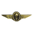 German Jump Wings - Oxidized Gold Badges 