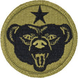 US Army Alaska OCP/Scorpion Patch Patches and Service Stripes 