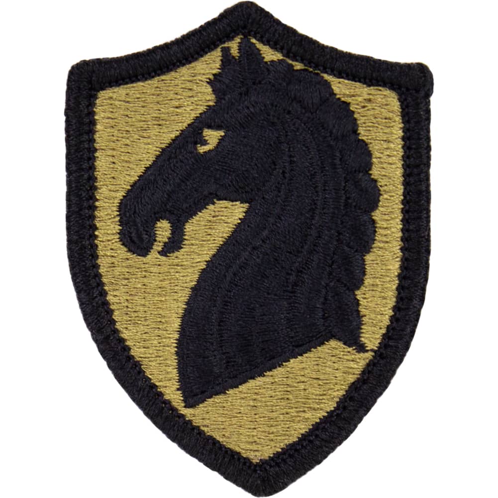 107th Armored Cavalry OCP/Scorpion Patch Patches and Service Stripes 