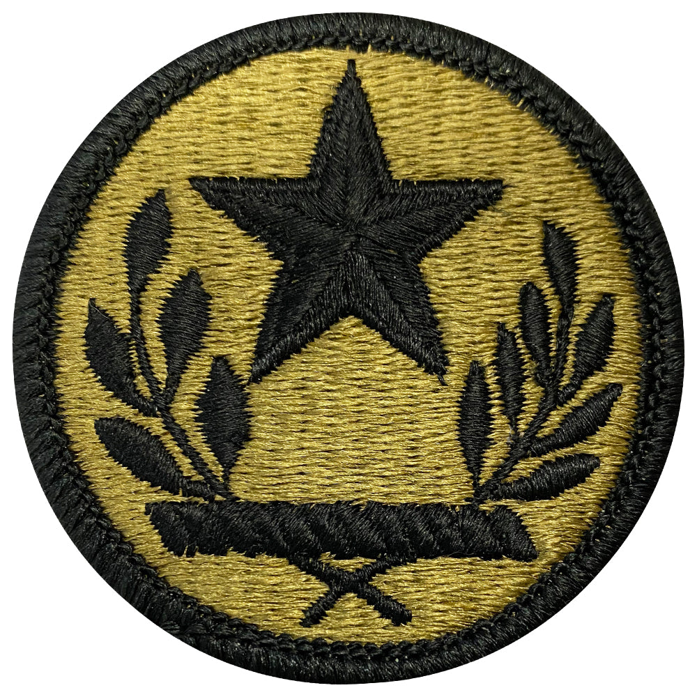 Texas National Guard Scorpion (OCP) Patch Patches and Service Stripes 