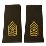 AGSU Epaulets - Enlisted and Officer Rank 85755