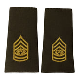 AGSU Epaulets - Enlisted and Officer Rank 85756