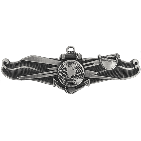 Navy Information Dominance Warfare Insignias Badges 85778