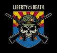 Liberty or Death Arizona Skull T-Shirt Shirts 