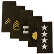 AGSU Epaulets - Enlisted and Officer Rank 